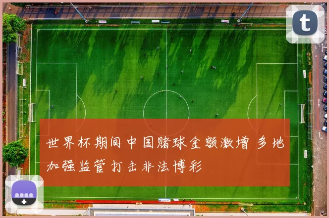 世界杯期间中国赌球金额激增 多地加强监管打击非法博彩