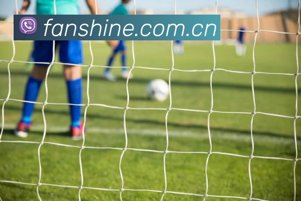 尊龙凯时人生就是搏·(中国区)官方网站平台生态图